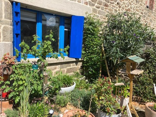 Appel A La Beaute Guest house *